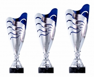 0037 Copa esport qualitat