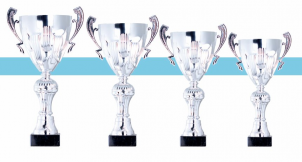 0048 Copa esport est&agrave;ndard