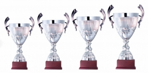 0049 Copa esport est&agrave;ndard