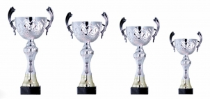 0050 Copa esport est&agrave;ndard