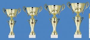 0057 Copa esport estàndard