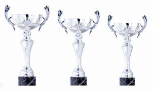 0062 Copa esport est&agrave;ndard