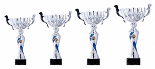 0063 Copa esport est&agrave;ndard