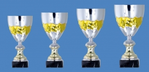 0069 Copa deporte estandar