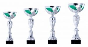 0077 Copa esport econòmiques