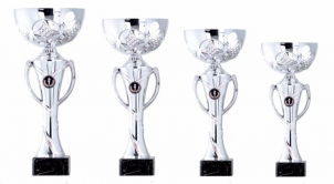 0080 Economic sport cup