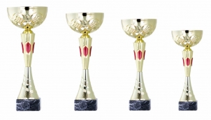 0101 Copa deporte economicas