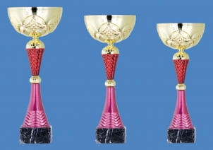 0107 Copa esport econòmiques