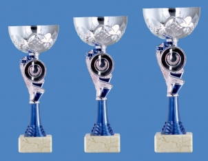 0122 Copa esport econ&ograve;miques