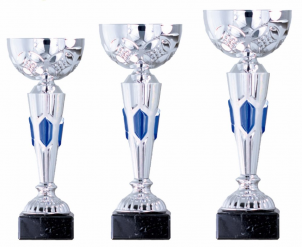 0131 Copa esport econ&ograve;miques