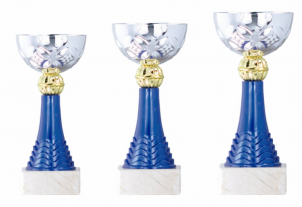 0136 Copa esport econ&ograve;miques