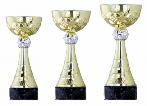 0137 Copa esport econ&ograve;miques