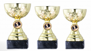 0140 Copa esport econ&ograve;miques