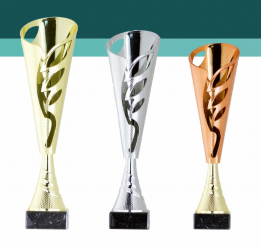 0145 Copa esport econ&ograve;miques