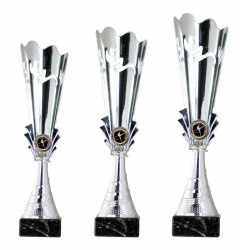 0150 Copa esport econ&ograve;miques