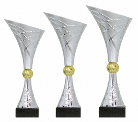 0152 Copa esport econ&ograve;miques