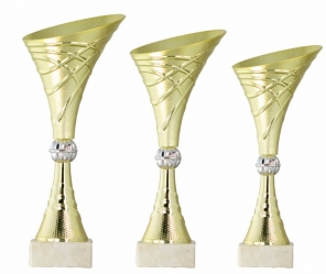 0153 Copa esport econ&ograve;miques