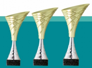 0154 Copa esport econ&ograve;miques