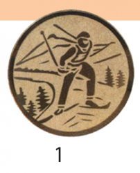 3331-01 Disco D-25 Aluminio 25MM