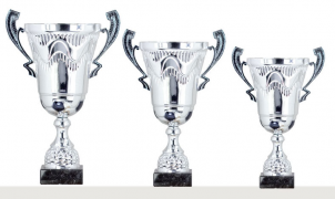 0314 Copa deporte estandar