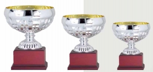 0334 Coupe sportive standard