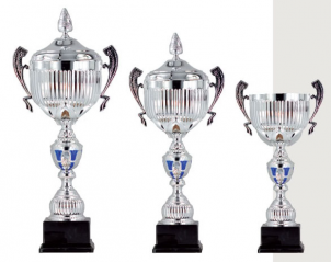 0301 Copa deporte calidad