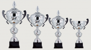 0306 Copa deporte estandar