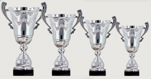 0309 Copa deporte estandar