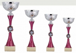 0364 Copa deporte Económica