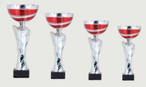 0378 Copa Esport Econ&ograve;mica