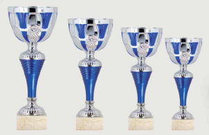 0381 Copa Esport Econ&ograve;mica