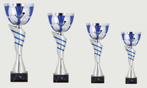 0382 Copa Esport Econ&ograve;mica