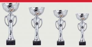 0383 Copa Esport Econ&ograve;mica