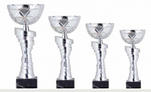 0385 Copa Esport Econ&ograve;mica