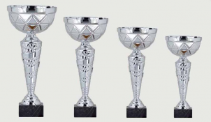 0386 Copa Esport Econ&ograve;mica