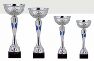 0387 Copa Esport Econ&ograve;mica