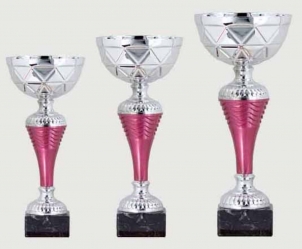 0389 Copa Esport Econ&ograve;mica