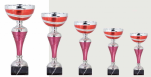 0393 Copa Esport Econ&ograve;mica