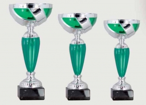 0394 Copa Esport Econ&ograve;mica