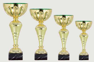 0395 Copa Esport Econ&ograve;mica