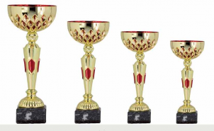 0397 Copa Esport Econ&ograve;mica