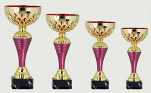 0398 Copa Esport Econ&ograve;mica