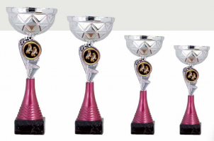 0399 Copa Esport Econ&ograve;mica