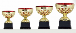 0400 Copa Esport Econ&ograve;mica