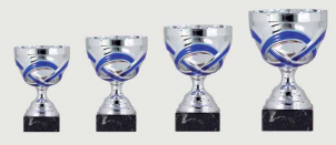 0401 Copa Esport Econ&ograve;mica