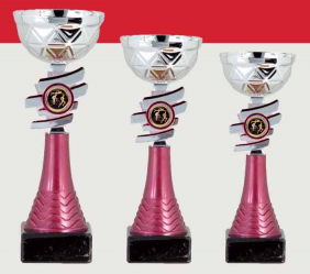 0406 Copa Esport Econ&ograve;mica