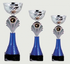 0408 Copa Esport Econ&ograve;mica