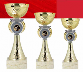 0409 Copa Esport Econ&ograve;mica