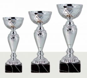 0412 Copa Esport Econ&ograve;mica