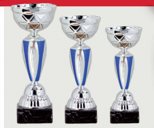 0415 Copa Esport Econ&ograve;mica